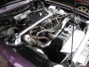 capri_speyer_2009_044.jpg