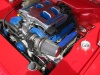 capri_speyer_2009_053.jpg